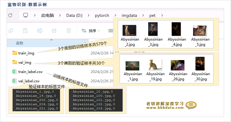 宠物样本数据示例