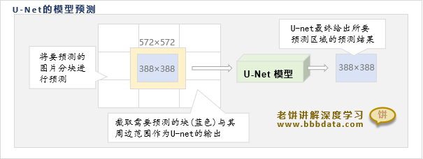  U-Net的模型预测   