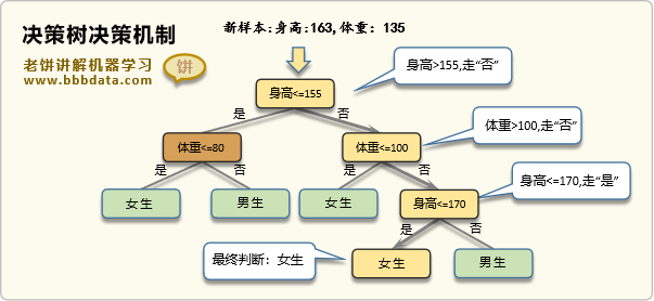 决策树的决策机制