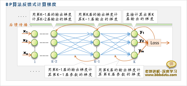  BP算法是如何计算梯度的