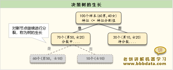 树的生长
