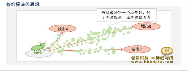 蚁群算法是什么